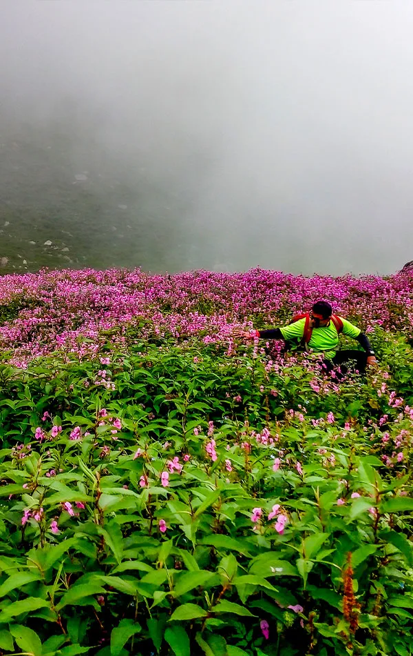 Hampta Pass Trek